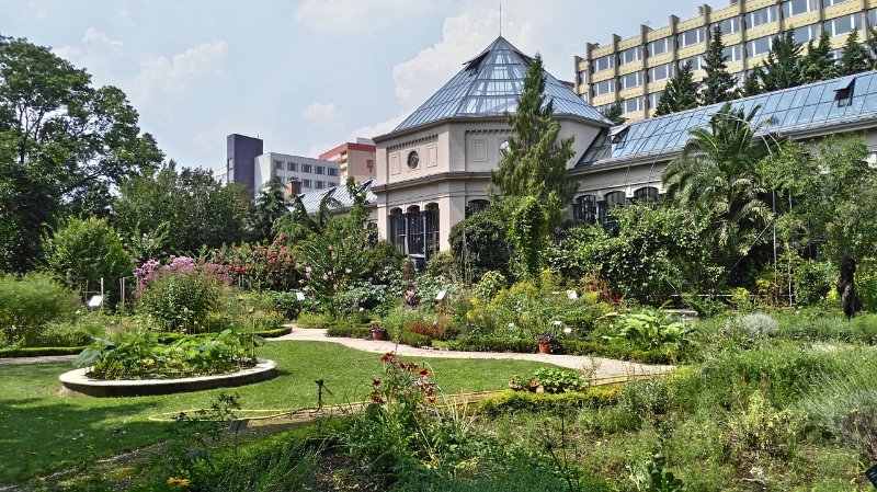 Garden of Jardin des Plantes