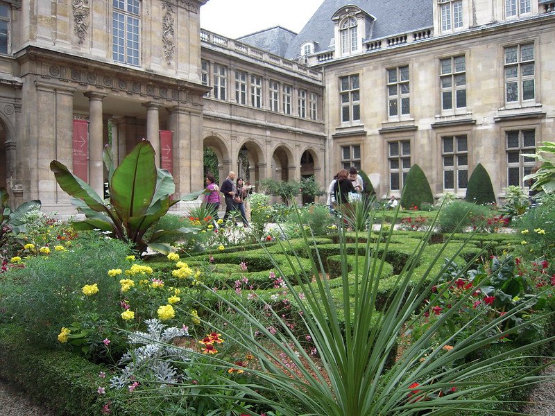 Plants in Musée Carnavalet Garden