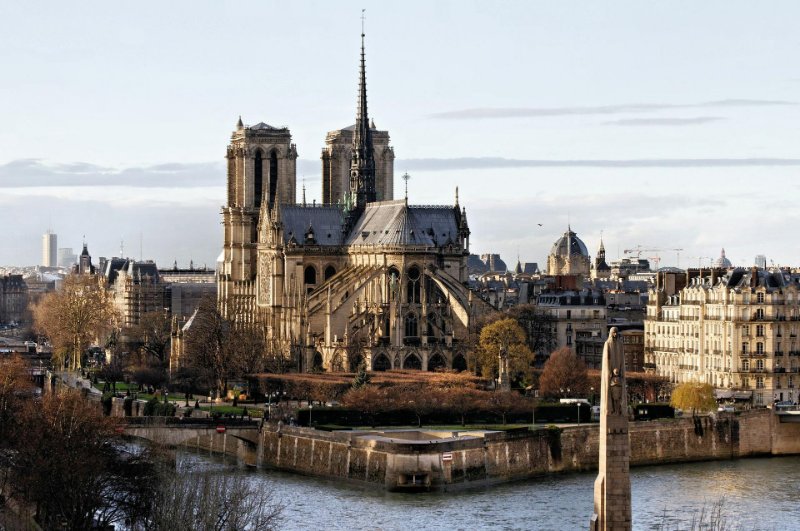 Notre Dame Cathedral and Skyline