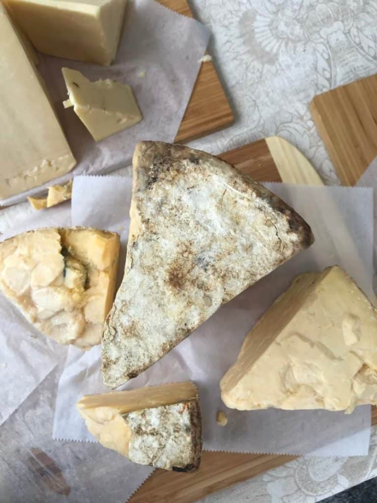 Set of Different Cheese