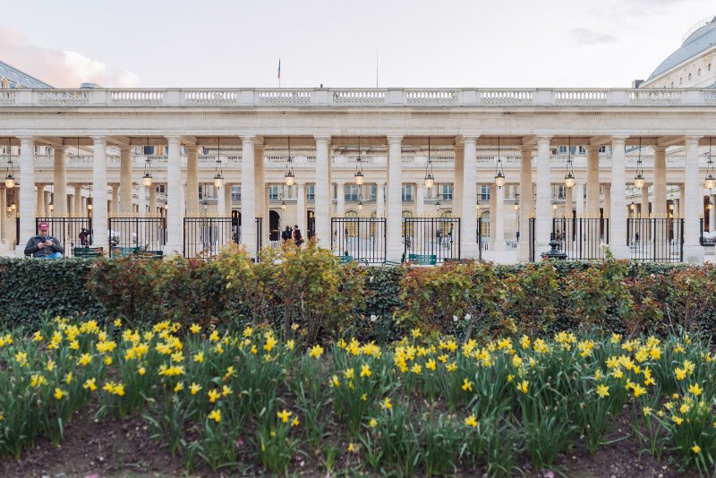 Plants in Palais-Royal Garden