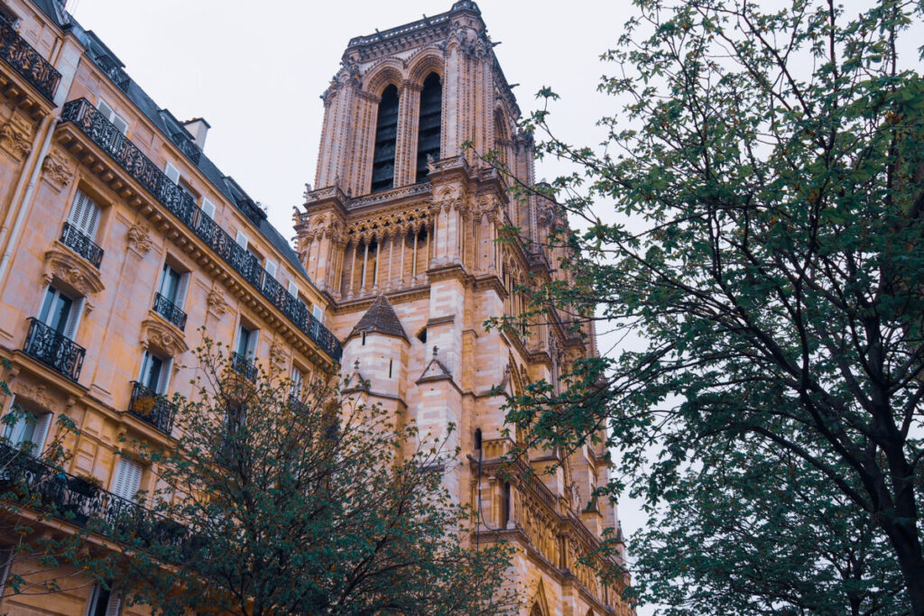 Side Angle of Notre-Dame Cathedral, Paris