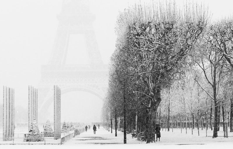 Below the Eiffel Tower