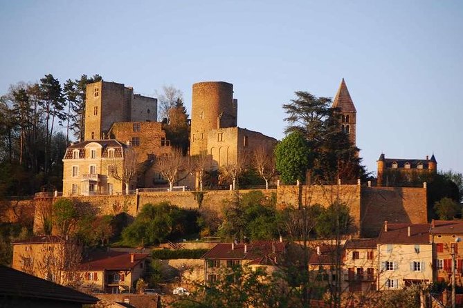 Beaujolais Wines 1-Day Private Tour from Paris Review