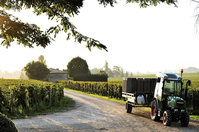 Bordeaux Wines 1-Day Private Tour: Pomerol & St. Émilion Review