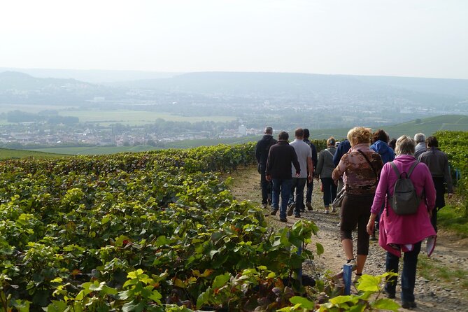 Champagne Private Tour to Reims Cathedral MOET&CHANDON and Tasting Review