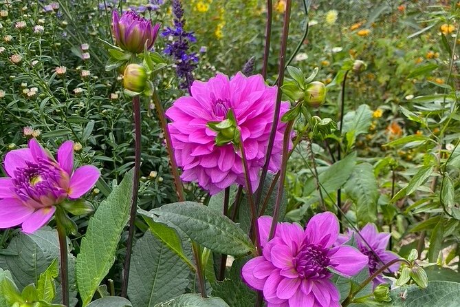 Paris to Giverny Round-Trip Transfer with Skip-the-Line Ticket with Flower Garden that showcases a rich and diverse collection of flora, meticulously arranged to create an exquisite and captivating display.