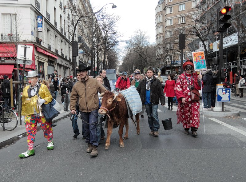 Participants in le Carnaval de Paris