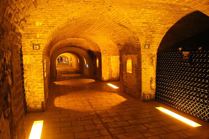 Private day tour to Champagne from Paris Review