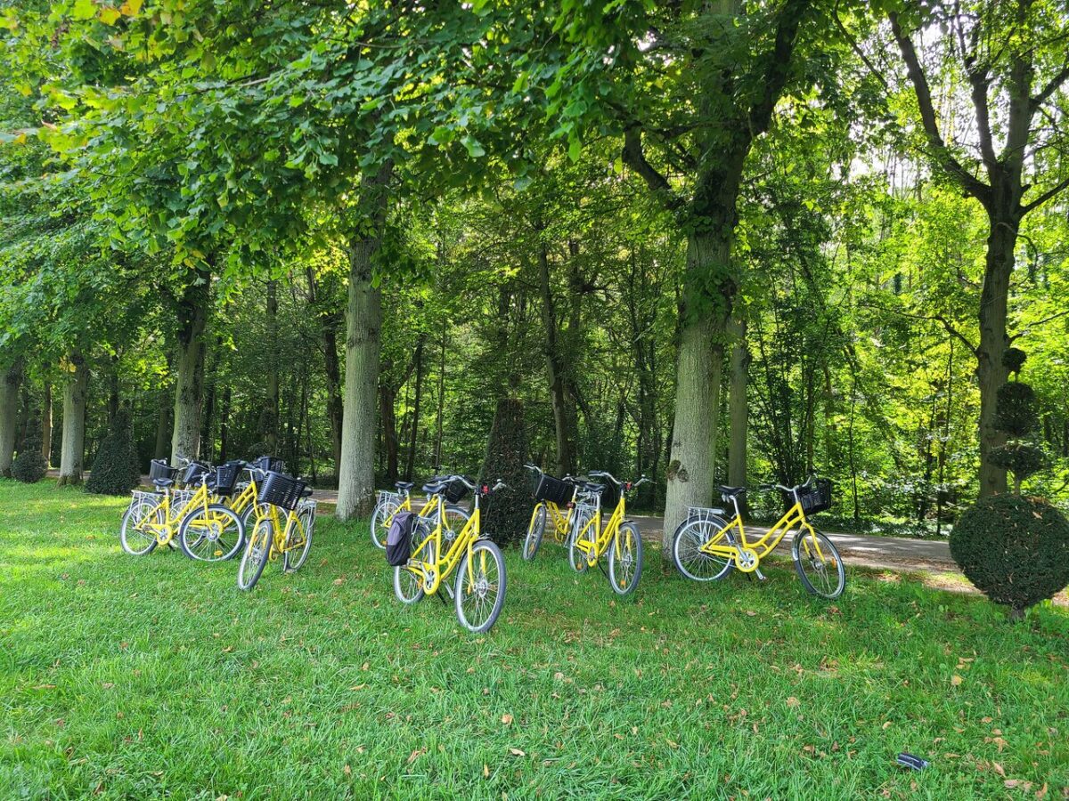 Versailles Markets and Gardens Full-Day Bike Tour from Paris Review