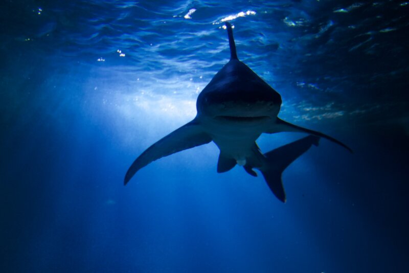 Aquarium de Paris