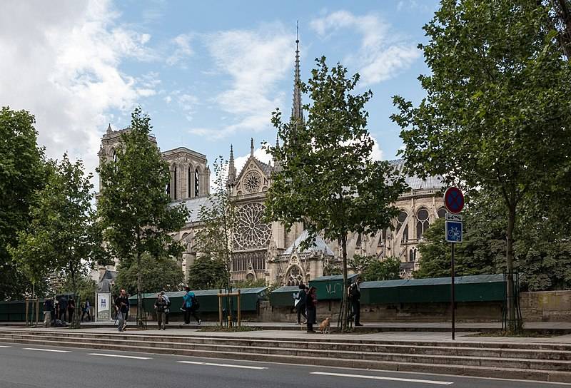 Paris Notre Dame Cathedral