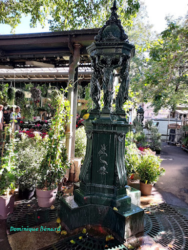 Fontaines Wallace