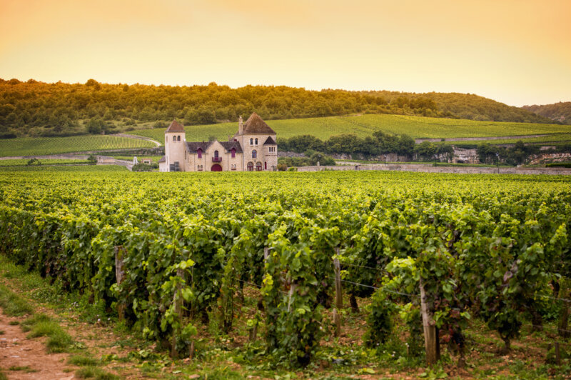 Chateau with vineyards, Burgundy, France