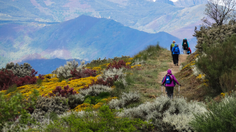 Women hiking on Camino de Santiago