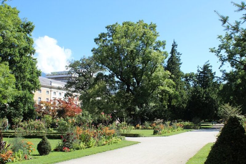 a view of a garden with green trees in Paris