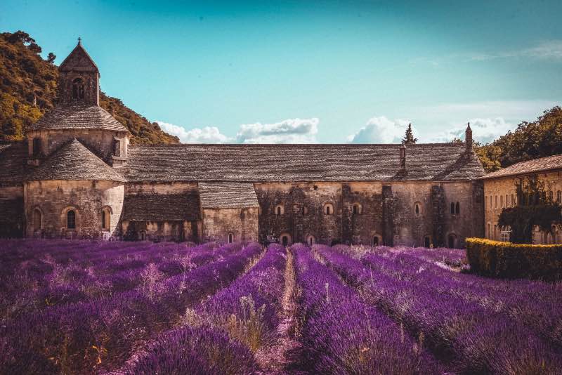 Medieval abbey with purple lavender field in Provence France