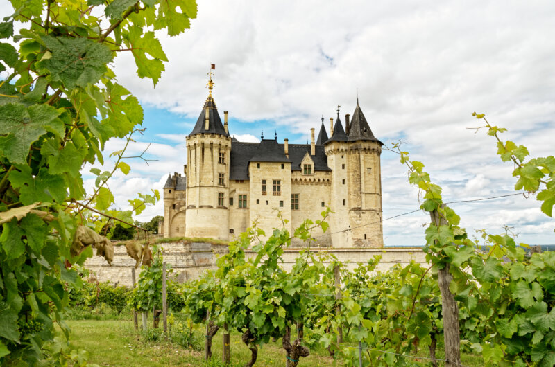 Saumur Castle, ancient french Loire castle in front of vineyard