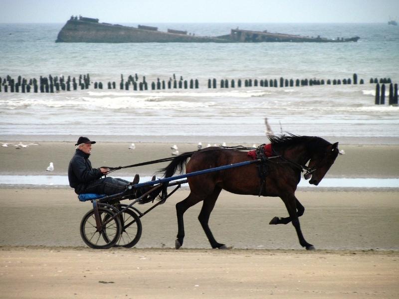 Man and horse on the Utah Beach, Normandy, France