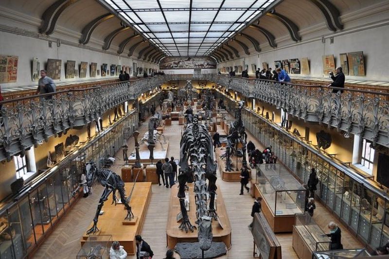 interior of the Natural History Museum of Paris