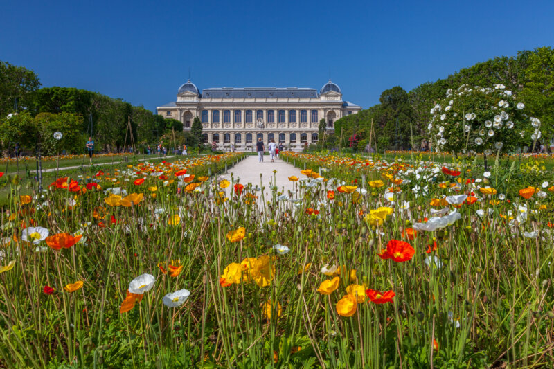 Grande Galerie de l'évolution in Jardin des Plantes, Paris