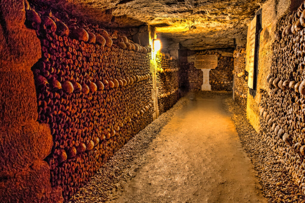 Skulls and Bones in the Realm of the Dead in Catacombs of Paris