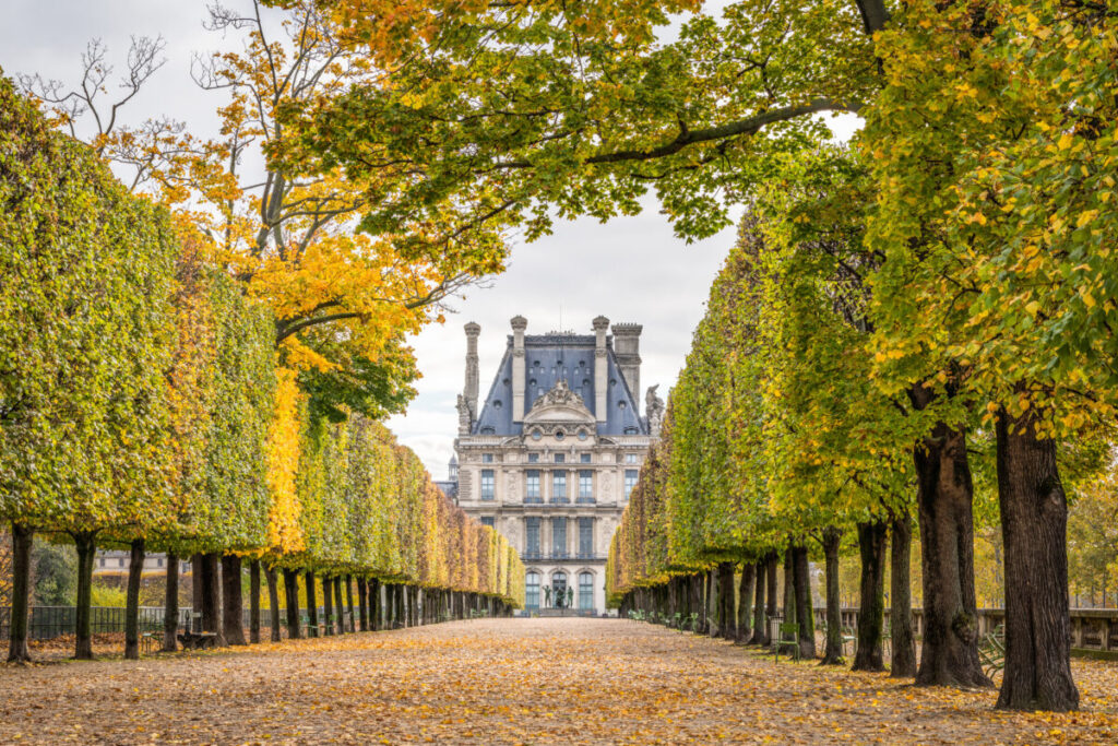 Autumn pathway to Louvre surrounded by colorful Tuileries Garden foliage, Paris.
