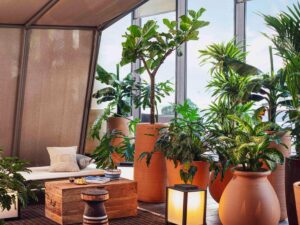 Novotel Paris Porte Versailles features elegant indoor vase with plants and a beautiful view