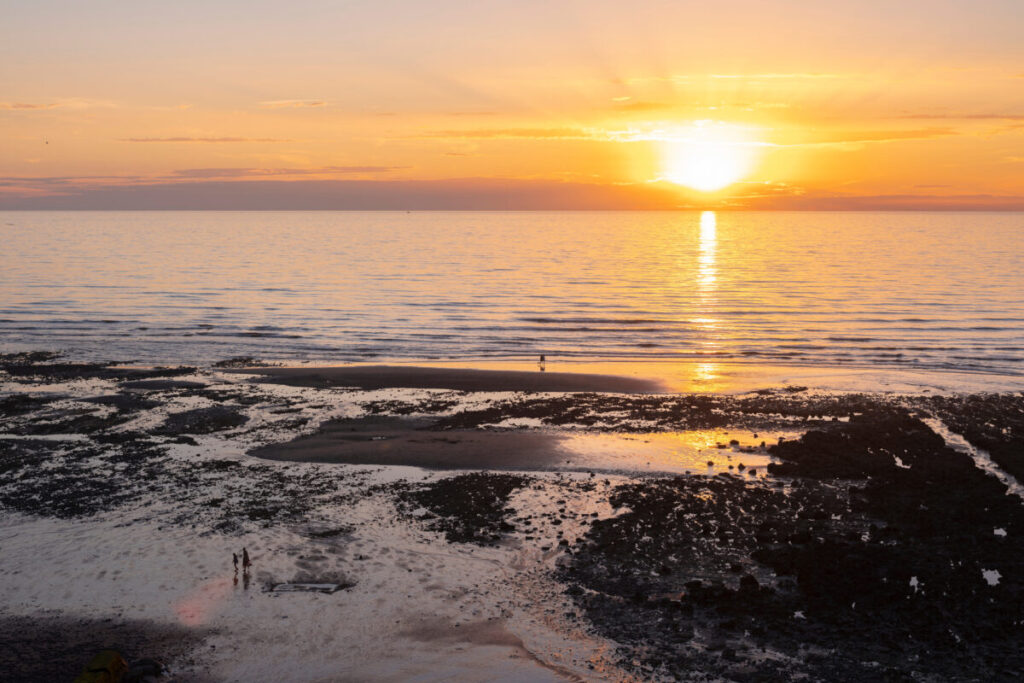 History enthusiasts and nature lovers will find their paradise along the Normandy Coast. Known for its dramatic cliffs, sandy beaches, and historic sites, this road trip offers a unique blend of natural beauty and heritage.