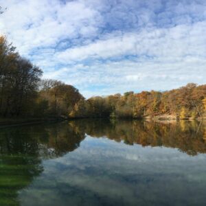 Forêt de Meudon
