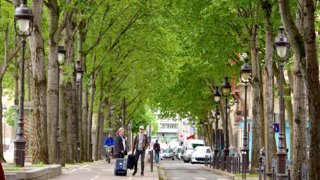 Local Tips and Precautions for Visitors