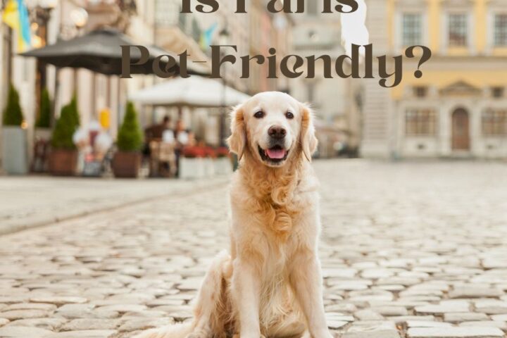 Is Paris Dog-Friendly? A Comprehensive Guide for Canine Lovers