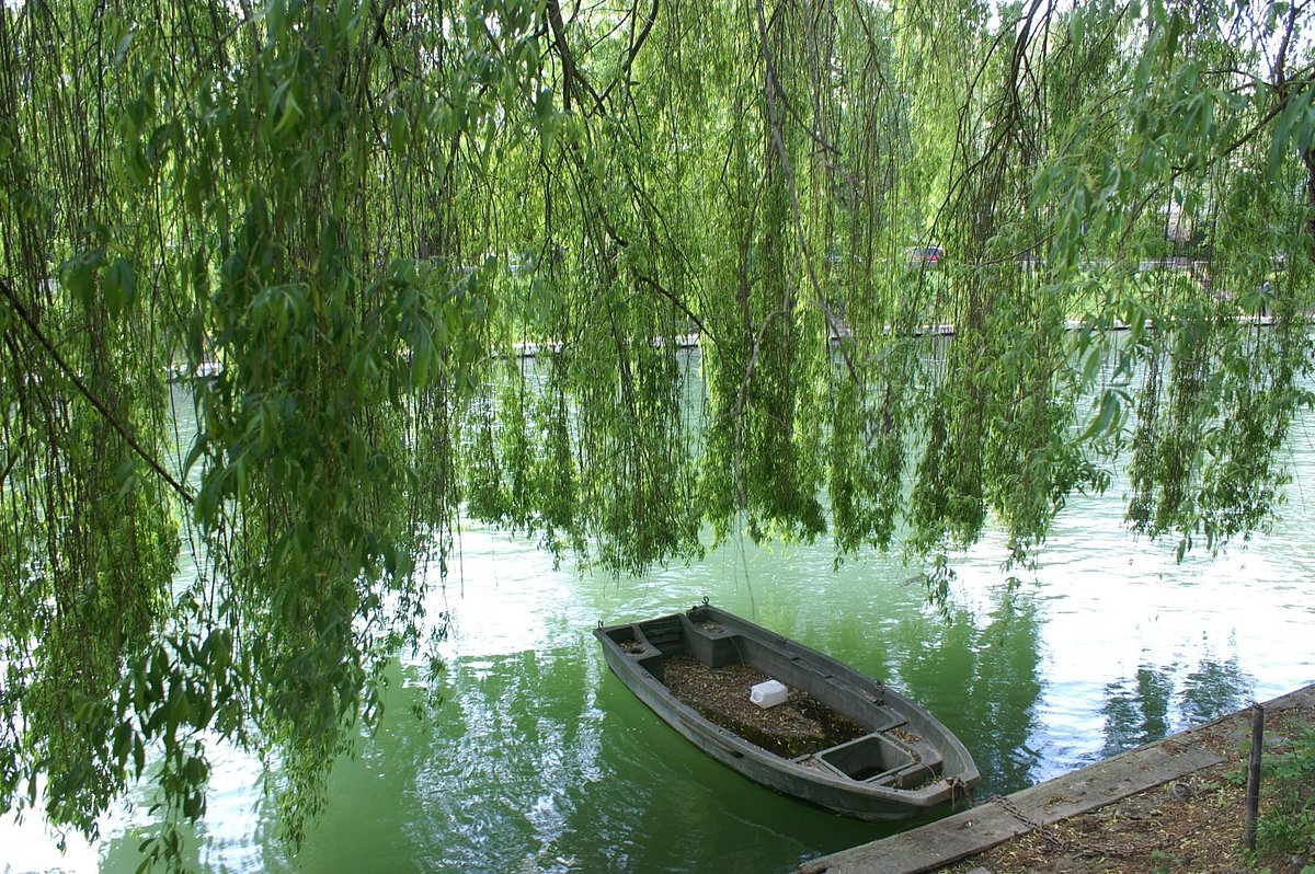 Bords de Marne à Velo Le Grand Huit