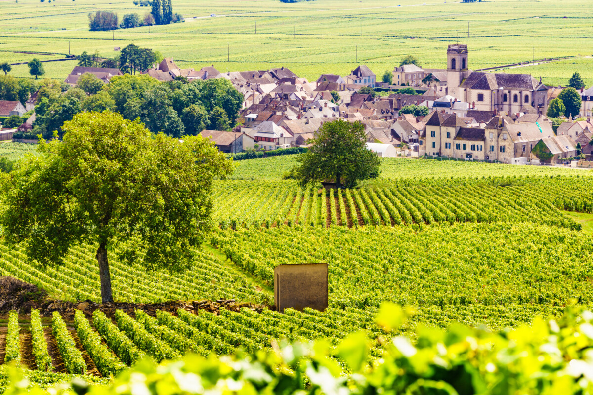Vineyards and Pommard village, Burgundy in France.