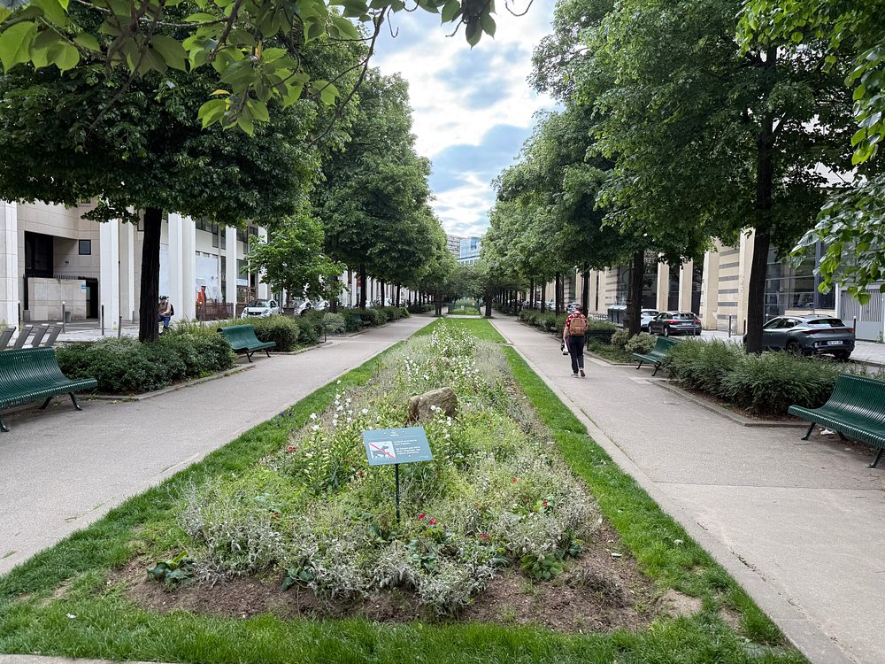 Coulée Verte René-Dumont in Paris features benches and lush plants, providing a serene escape in the urban landscape.