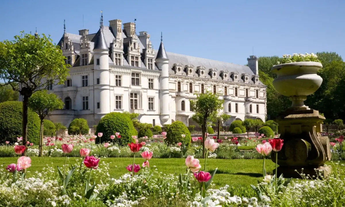 Day trip to Chambord, Chenonceau and Amboise from Paris with wine tasting