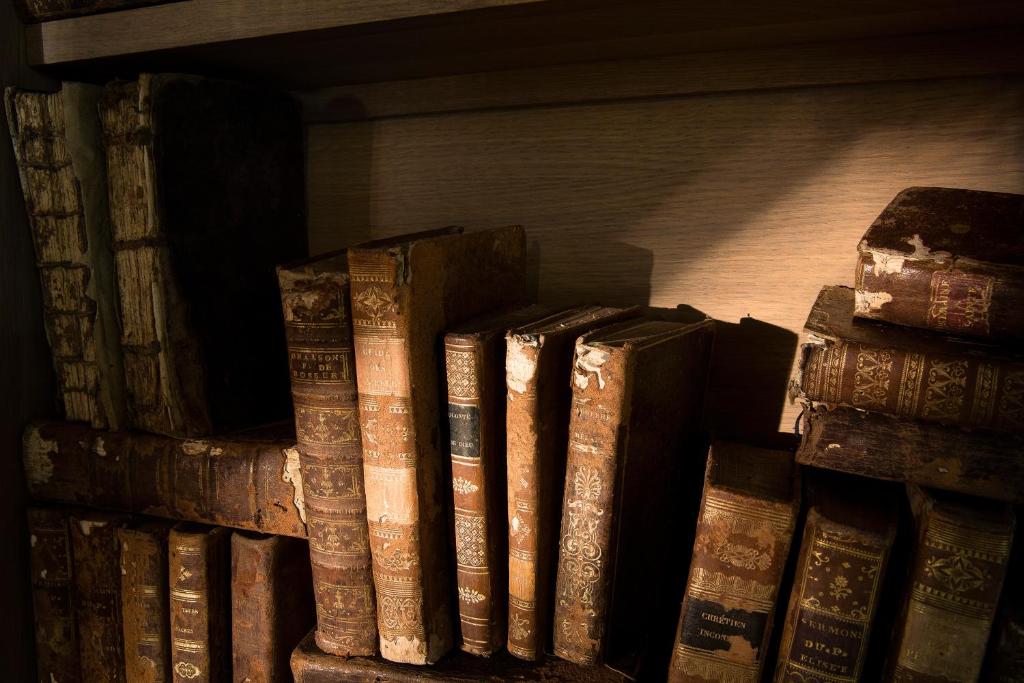 Antique books with weathered leather bindings stacked on a wooden shelf, highlighted by warm lighting.