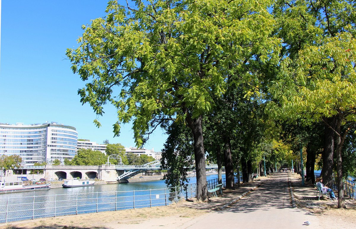 Ile des Cygnes