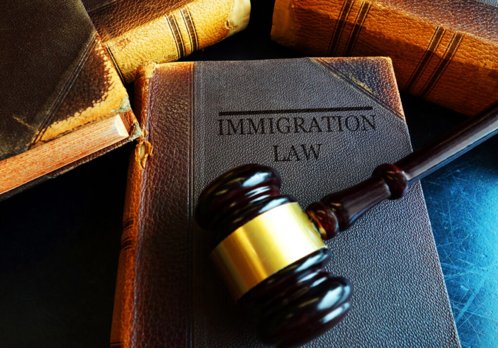 Immigration law book and a court mallet
