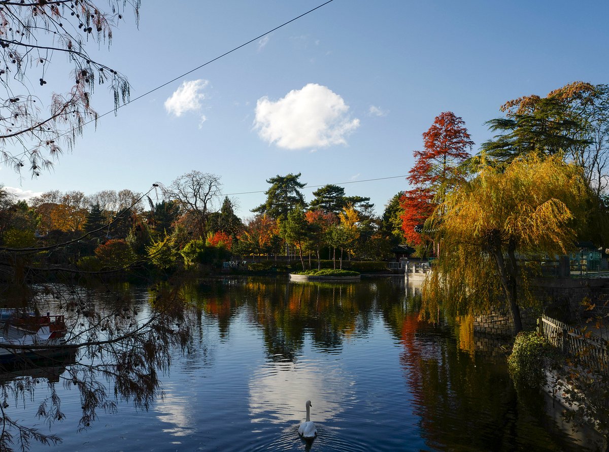 Jardin d'Acclimatation