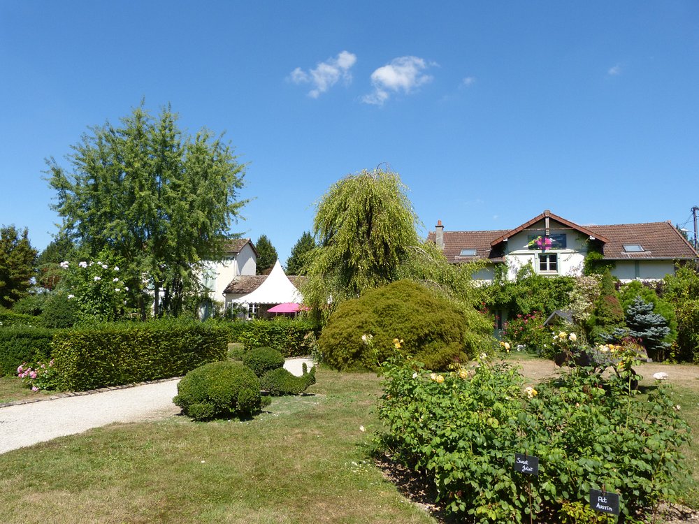 Lush garden with trees and bushes in front of a charming house at La Roseraie de Provins, Provins, France.