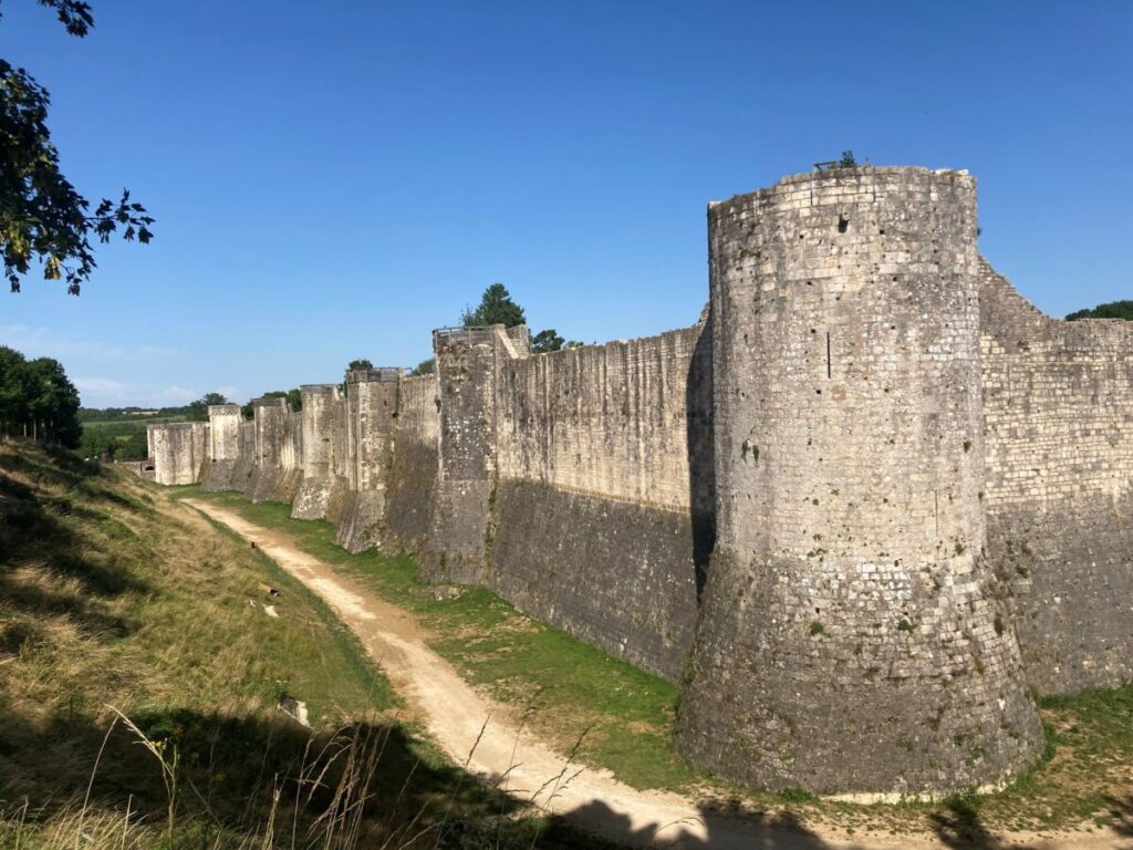 Castle walls of La Tour César in Provins are surrounded by lush green trees, creating a picturesque landscape.