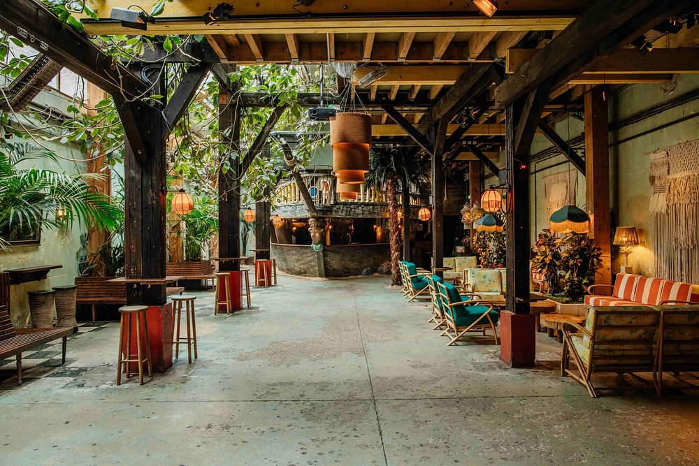 Interior of Le Comptoir Général in Paris, featuring a lush arrangement of various plants throughout the restaurant.