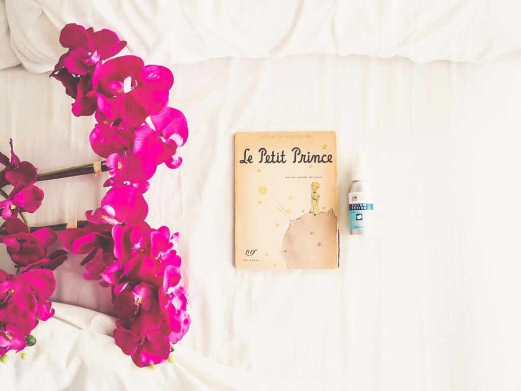 Le Petit Prince Book on a bed