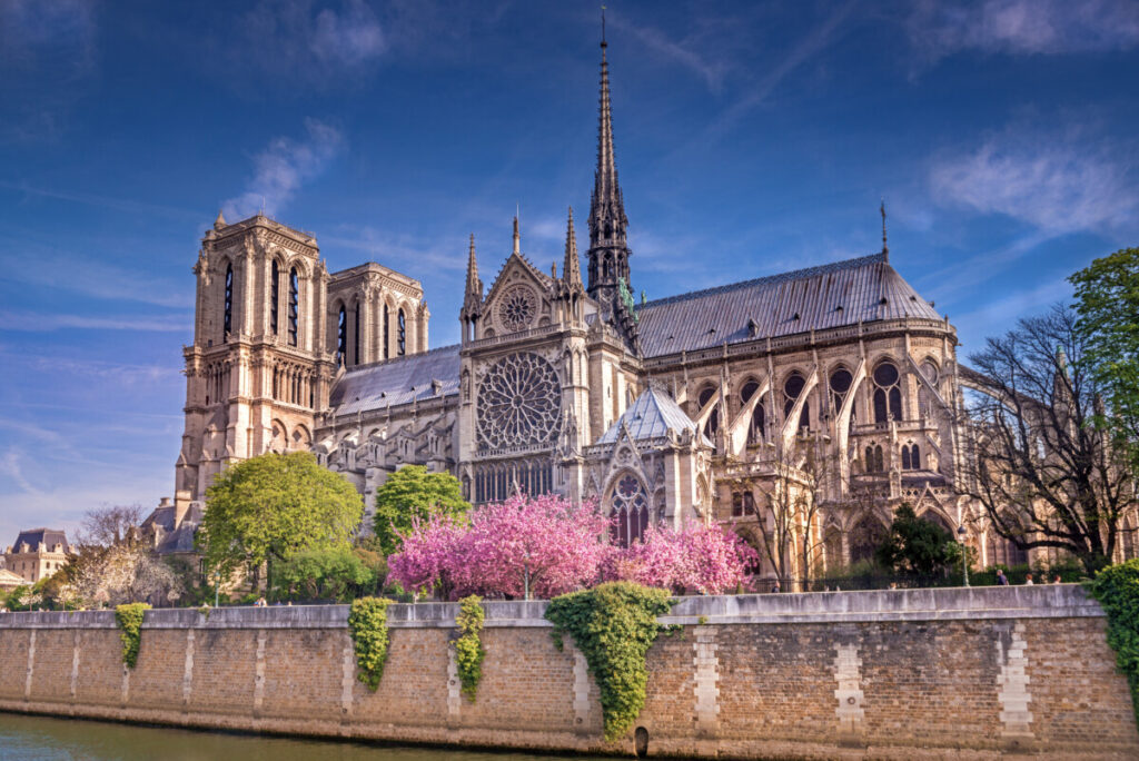 Notre-dame structure, architecture, and skyline