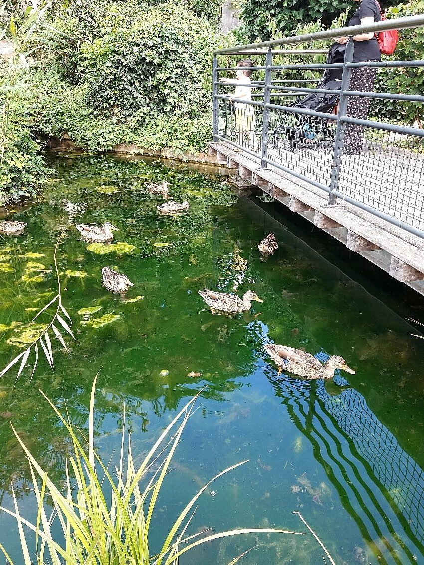 Parc de Cluny