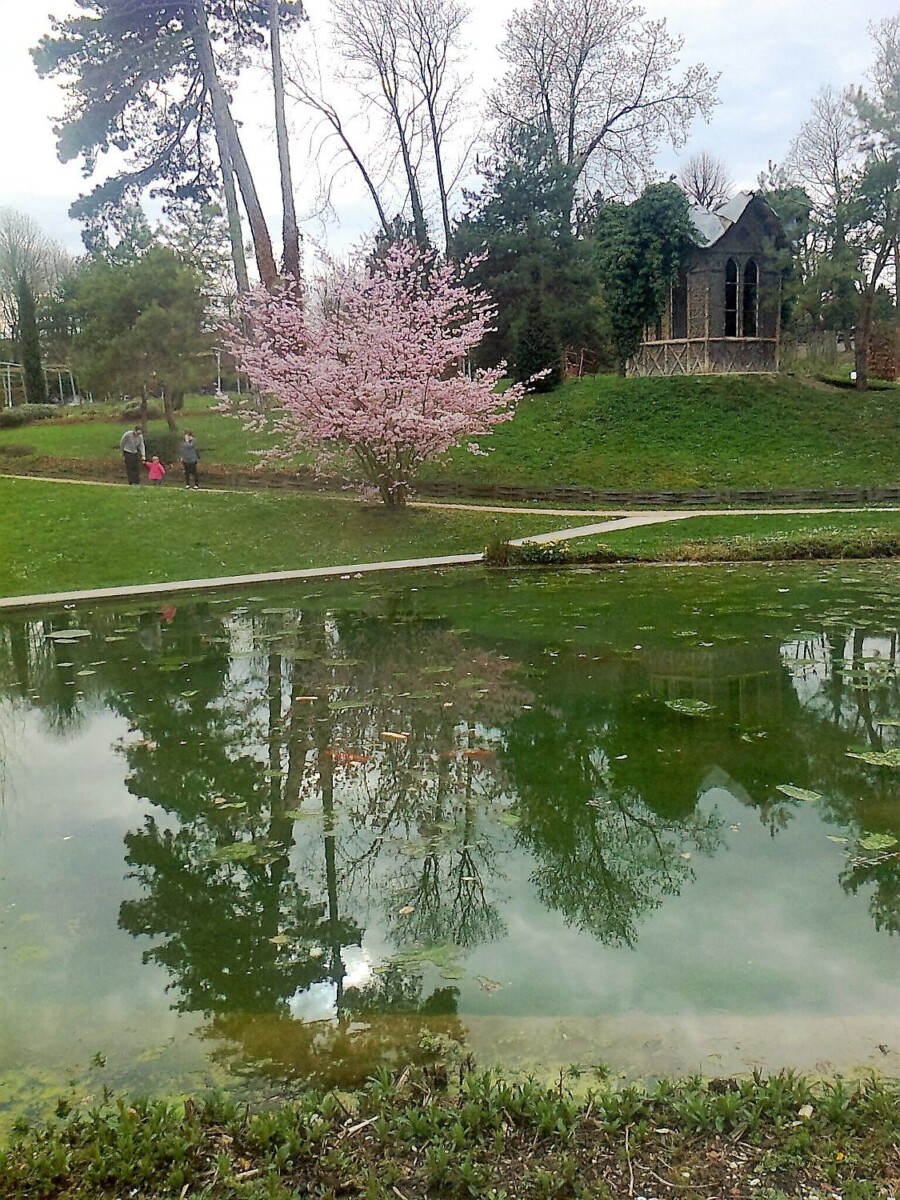 Parc de Cluny