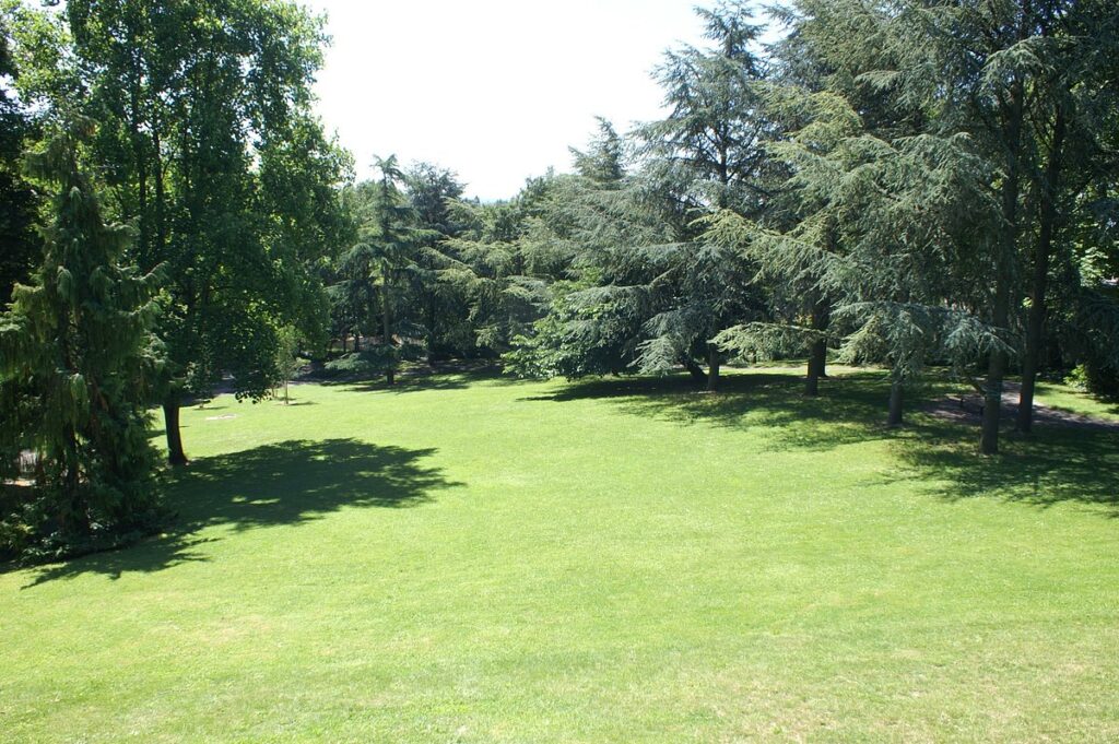 Various animals and plants in Parc Watteau, with a focus on a pond hosting ducks and surrounded by lush vegetation, including flowering plants and tall trees.