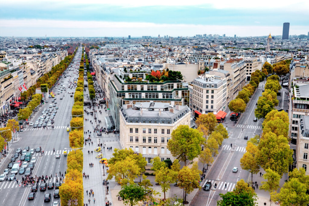 Aerial view of Paris streets lined with autumn-colored trees on a sunny day, showcasing vibrant fall foliage.