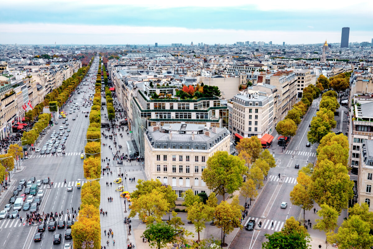 Aerial view of Paris streets lined with autumn-colored trees on a sunny day, showcasing vibrant fall foliage.